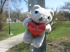a memorial to a fallen pedestrian in Ithaca (by: Ari Moore, creative commons license)