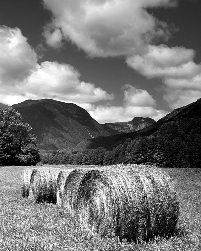 Bales in the Pyrenees