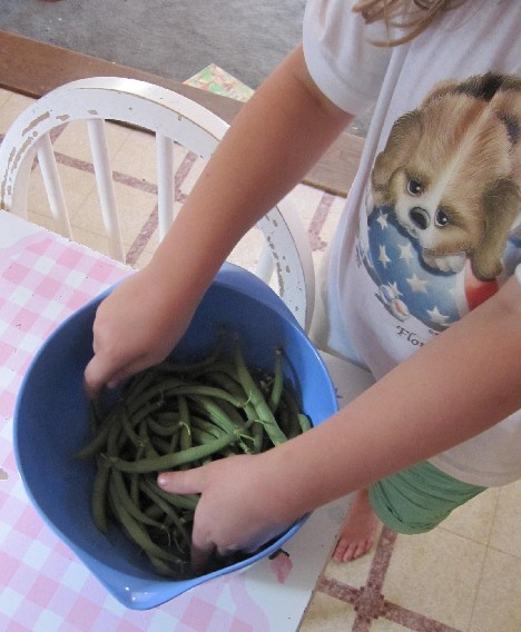 This is a trick question!  There's always one!  When I asked her how many beans she picked, she said, *one thousand*, but probably there were only 25.  Either that or I ate 500 green beans before dinner tonight.