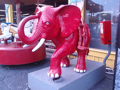 red elephant ride