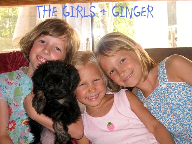 the girls & ginger1