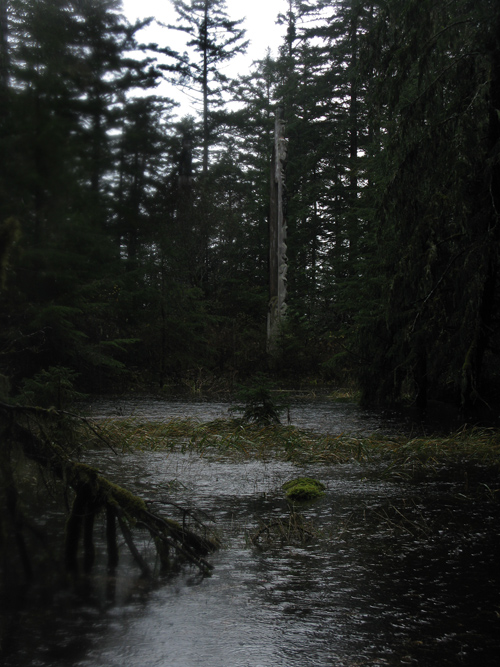 Son-i-Hat Creek floods near Kasaan Totem Park, Kasaan, Alaska