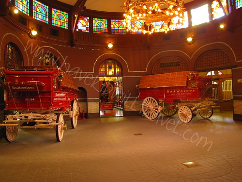 Budweiser wagons, Anheuser Busch Brewery, St. Louis, Missouri
