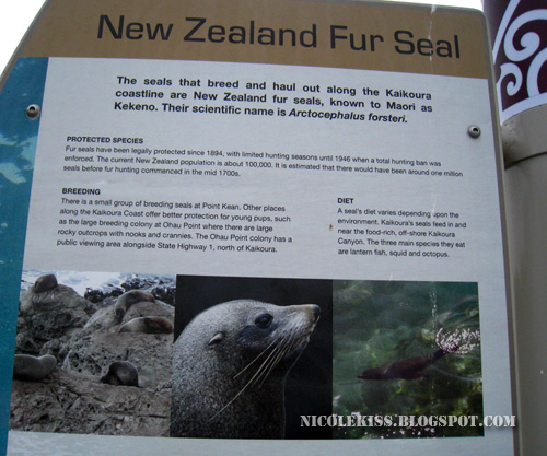 facts about fur seals
