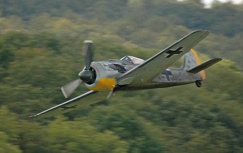 Warbird picture - FW 190
