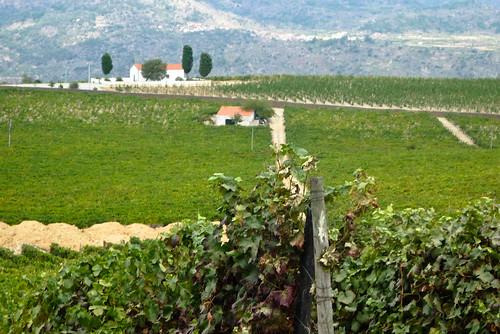Rutas del vino por Extremadura y Portugal