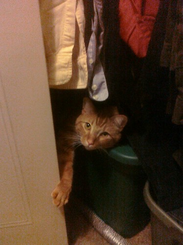 Ptw Leki has found a nice spot in my closet