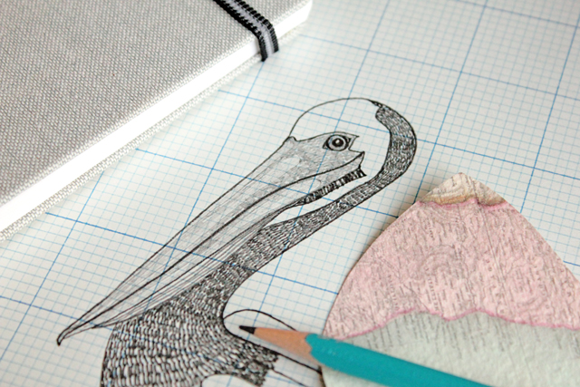 Pelican Sketch