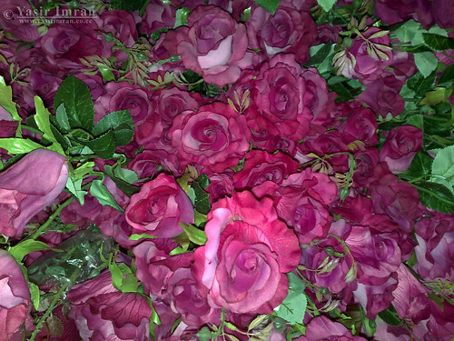 Artificial Flowers Dark Pink Roses 