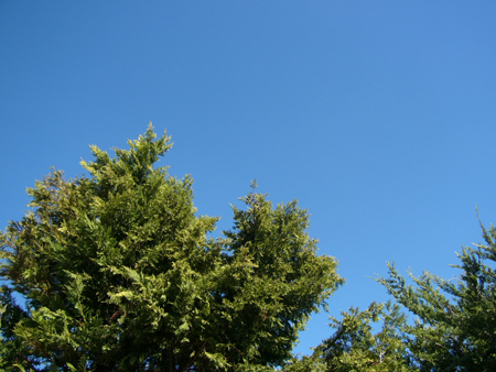 blue blue sky