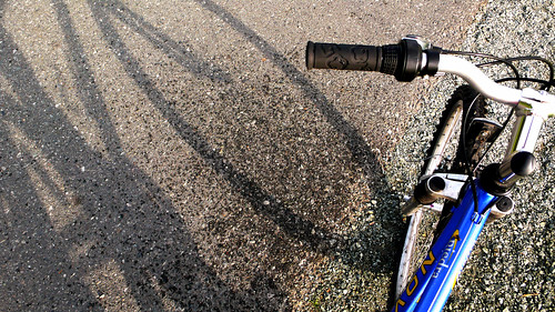 Anchorage Bike Shadow