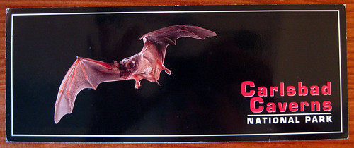 Excellent bat postcard