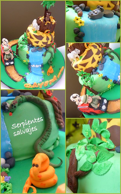 3Detalles jungle cake cayetano