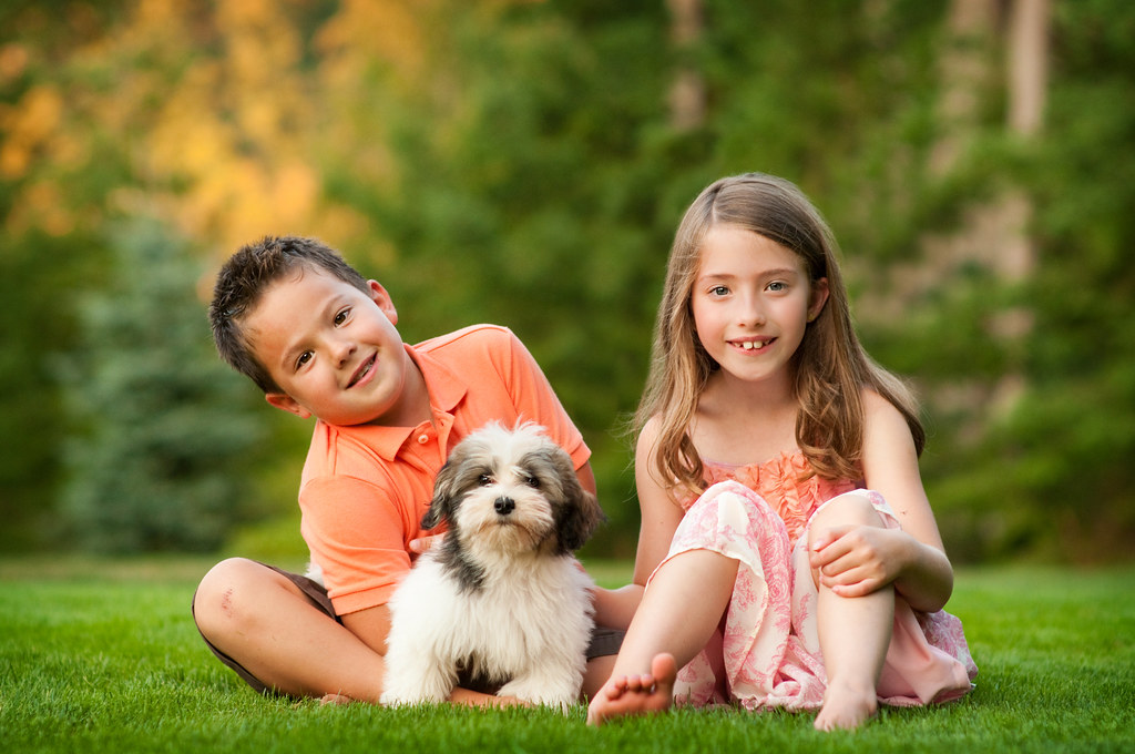 kids with puppy