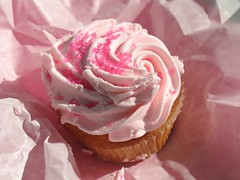Cupcake in Central Park, New York