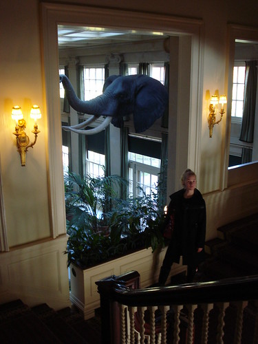 Cheryl with her prize winning elephant, George Eastman House