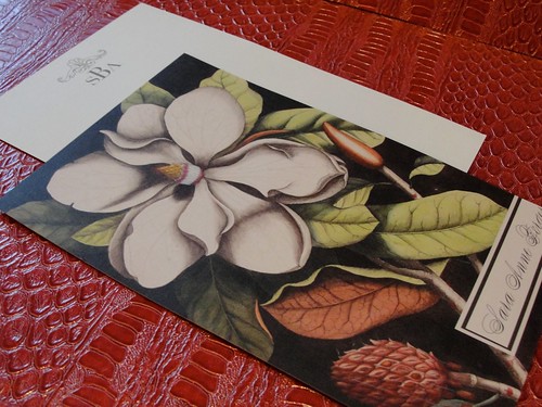 Magnolia Stationery by FrontPorchStudio.