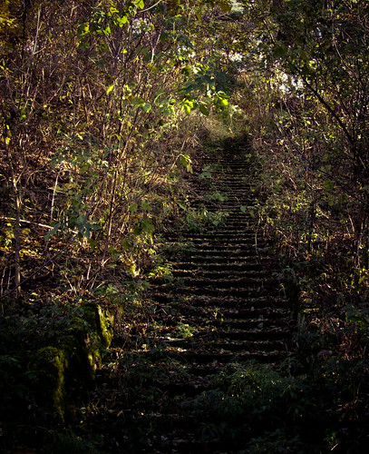 Forgotten Stairs
