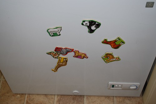 Magnets on the Freezer