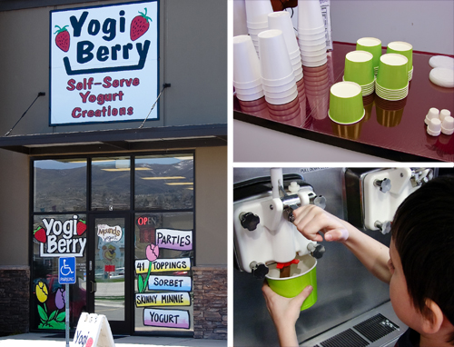 yogi berry yogurt shop review