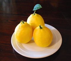 meyer lemon harvest 3