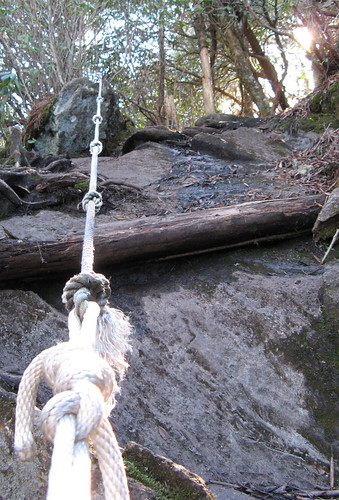 Ropes on the Deep Gap Trail