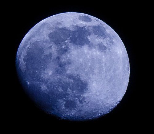 Blue Moon - 174/365 - 29 November 2009
