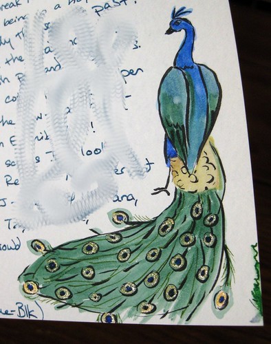 Hand-painted peacock