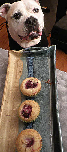 Martha Stewart's Tiny Cherry and Almond Tea Cakes