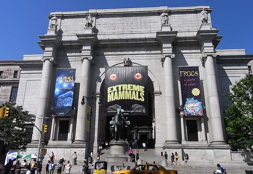 the american museum of natural history