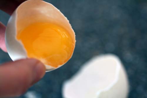 egg yolk/white separation