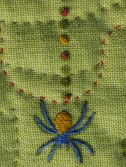 spider detail