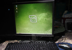 best high-tech baby monitor
 on linux mint Gloria on monitor by _gem_