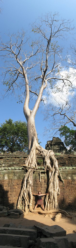 Lboogie holding tree roots apart - Angkor, Cambodia