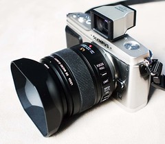 e-p1 + Panasonic Leica DG Macro Elmarit 45mm f/2.8 ASPH