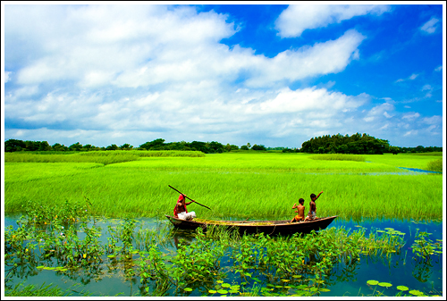 In the land of landscapes - VII [..Sonargaon, Bangladesh..]