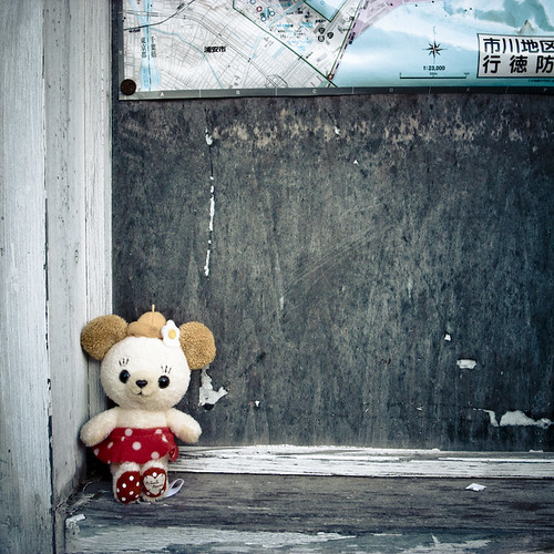 Lost Girl Teddy Bear, Ichikawa