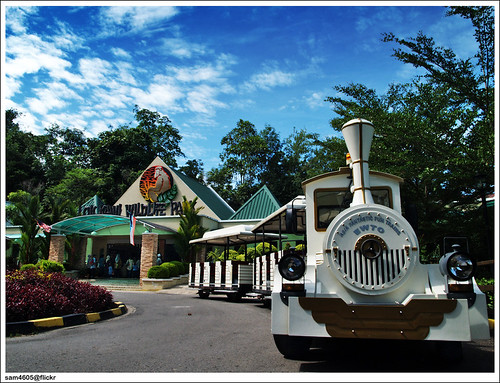 Lok Kawi Wildlife Park - Zoo Train