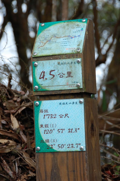 2009.11.14-15 水社大山.108.jpg