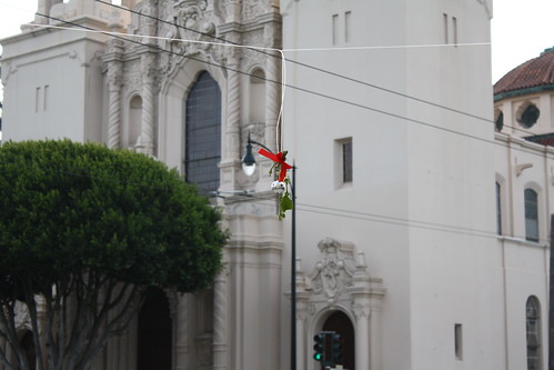 Mistletoe at 16th and Dolores