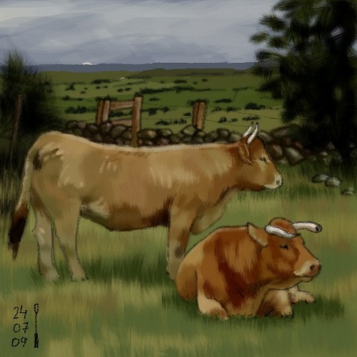 Cows, by LaLegraNegra