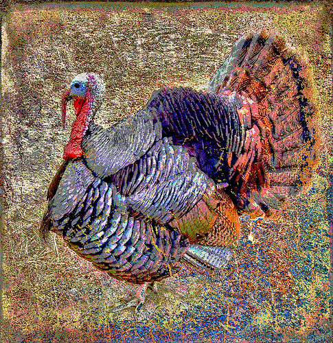 psychedelic turkey