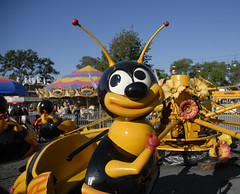 Bee ride at MN State Fair