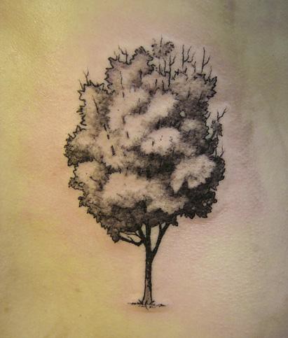 tree tattoos. By Gene Coffey at Tattoo Culture. tattooculture.net/