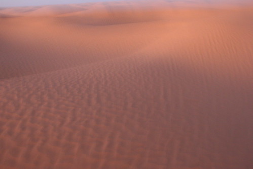 Sahara Dune