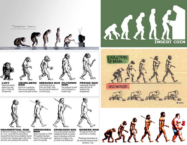 Diverses parodies de The Road to Homo Sapiens.