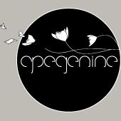 Apegenine_Organization_Logo