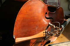 Cello String Instrument IMG_3759