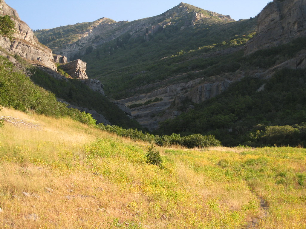 A Side Fork of Provo Canyon