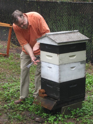 Learning the anatomy of a bee hive